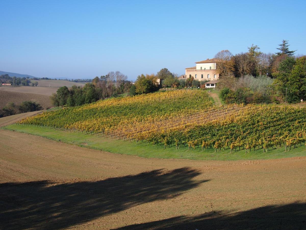 Agriturismo Poggiarellino - Montalcino Buitenkant foto