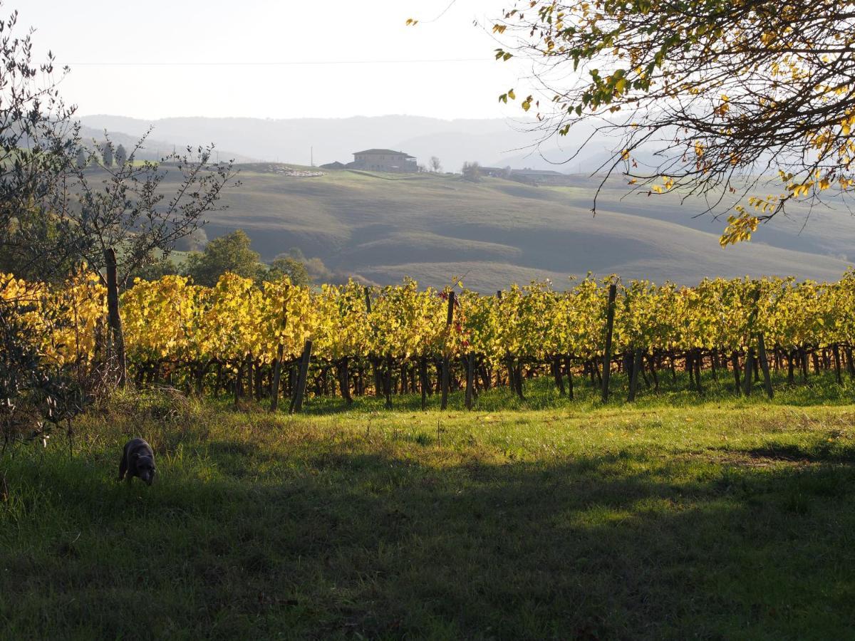 Agriturismo Poggiarellino - Montalcino Buitenkant foto