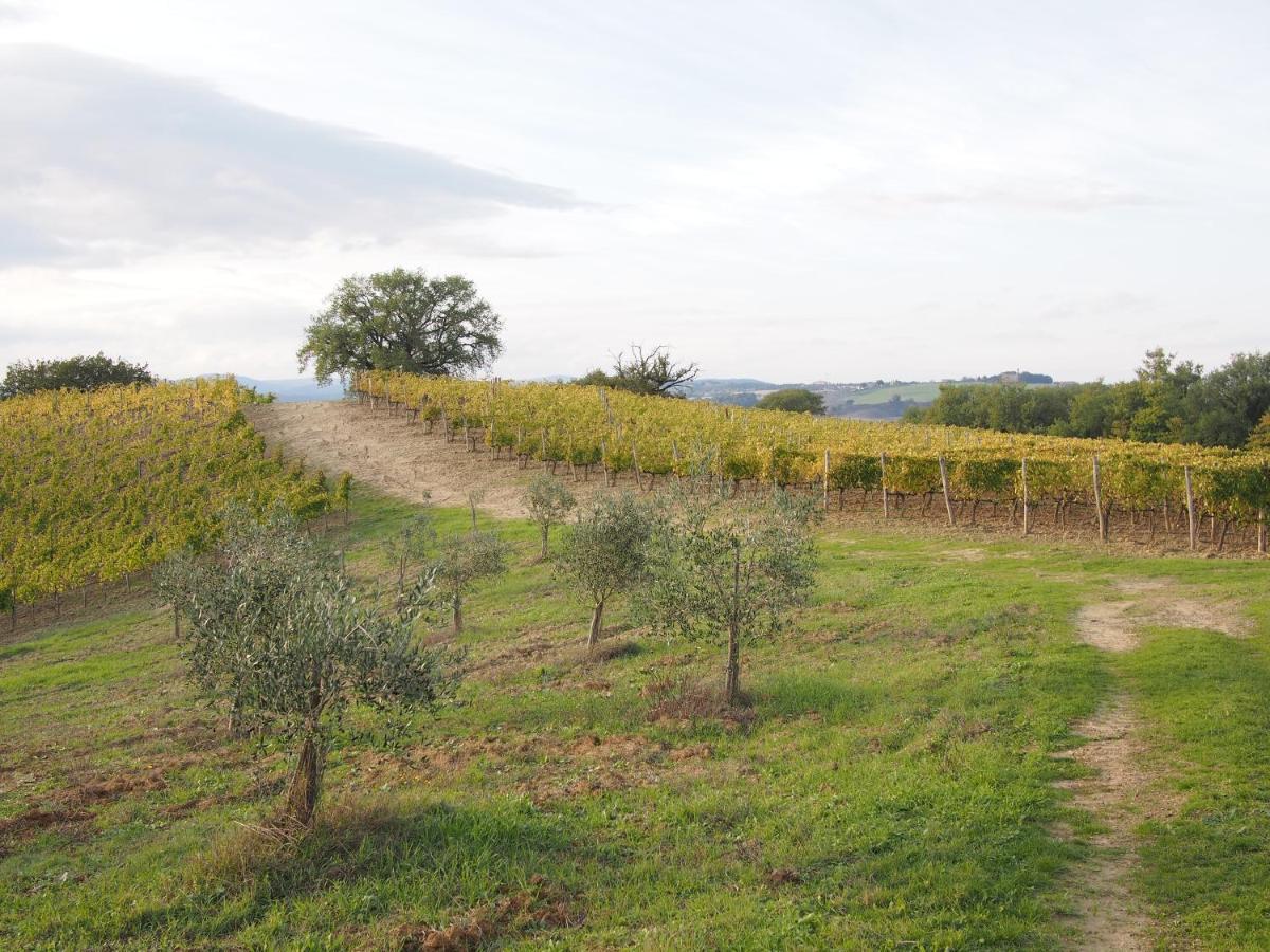 Agriturismo Poggiarellino - Montalcino Buitenkant foto