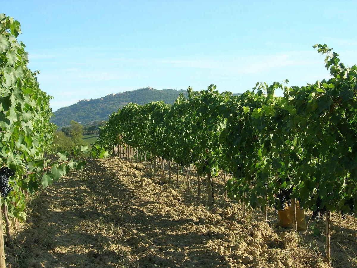 Agriturismo Poggiarellino - Montalcino Buitenkant foto