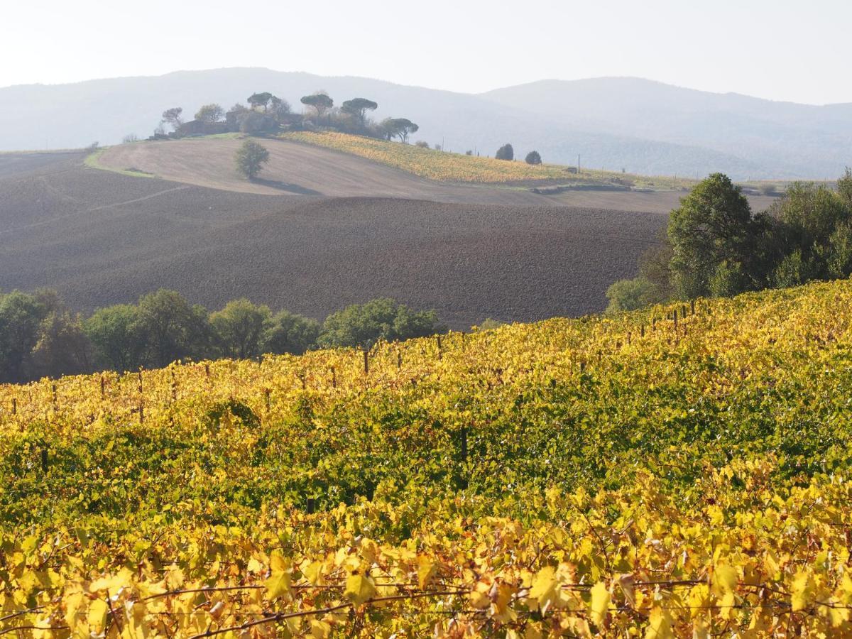 Agriturismo Poggiarellino - Montalcino Buitenkant foto